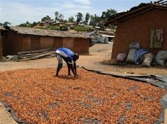 a man standing on top of a pile of brown beans in front of a building