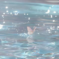 a small white butterfly flying over the water