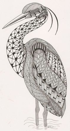 a black and white drawing of a pelican with intricate designs on it's head