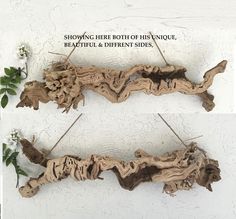 two pieces of driftwood are hanging on the wall next to each other with flowers