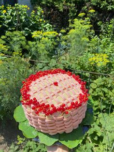 a cake that is sitting on top of a leaf in the grass and surrounded by plants