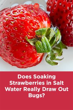 two strawberries with the words does soaking strawberries in salt water really draw out bugs?