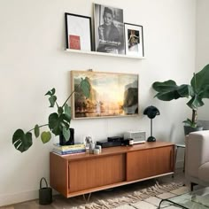 a living room with some plants and pictures on the wall