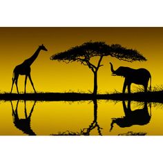 two giraffes and an elephant standing in front of a tree at sunset