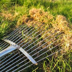 a metal rake laying on top of grass