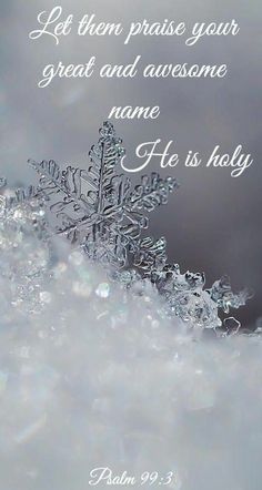 Winter Scripture, Quotes For Christians, Christmas Scriptures, Christ Birth, Religious Christmas Quotes, Christmas Quotes Images, Birth Quotes, Christmas Spread, Christmas Verses