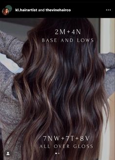 Brunette Balayage Redken Formula, Mushroom Brown Hair Color Shades Eq, Dimensional Brunette Hair, Warm Brunette Hair, Brunette Hair Color Shades, Warm Brunette Hair Color, Redken Products, Redken Formulas, Toner Formulas