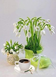 a cup of coffee and some flowers on a white table with a green vase filled with snowdrops