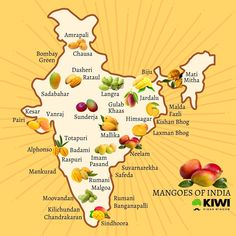 the map of india with many different fruits and vegetables on it, including mangos