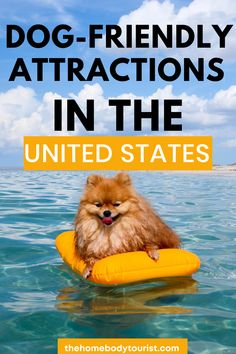 a dog sitting on top of an inflatable raft with the words, dog - friendly attractions in the united states