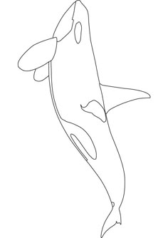 a drawing of a dolphin jumping in the air