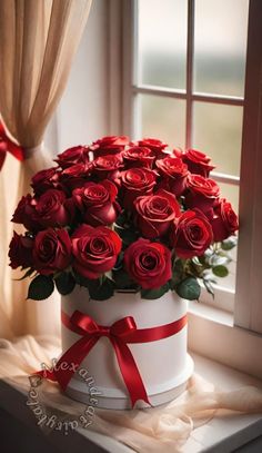 red roses in a white box on a window sill