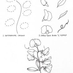 some flowers are shown in this drawing