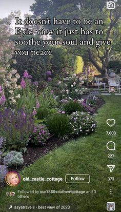 a garden with purple flowers and green grass