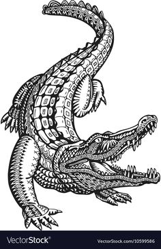 a drawing of an alligator with its mouth open and it's teeth wide open