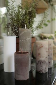 three candles sitting next to each other on top of a table in front of a potted plant