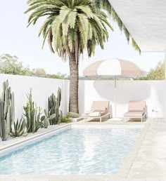 an empty pool next to a palm tree