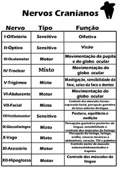 a table that has different types of words on it, including the names and abbreviations