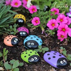 painted rocks with faces and eyes sitting in the dirt next to pink flowers on the ground