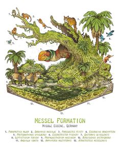 an illustrated book with animals and plants on it