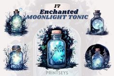 four glass jars with plants in them and the words, enchanted moonlight tonic