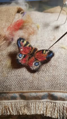 a close up of a butterfly on a piece of cloth