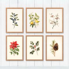 four framed christmas cards with pine cones, holly berries and lemons on white wood background