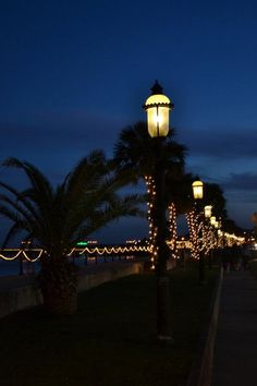 palm trees are lit up along the sidewalk at night