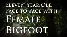 the words eleven year old face to face with female bigfoot