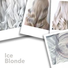 The Coolest Way to Get Gray Blonde Hair | Wella Professionals Cream Blonde Hair, Metallic Hair Color, Bleaching Hair, Icy Hair, Platinum Blonde Highlights