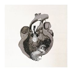 a drawing of a human heart with an animal inside