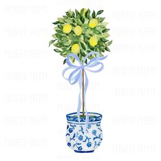 a painting of a potted plant with lemons in it and a blue ribbon