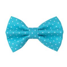 a blue bow tie with white polka dots