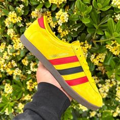 Adidas Herzogenaurach Sunflower Men 7= Women 8. Brand New In Box 100% Authentic. Fast Shipping All Sales Final Adidas Yellow, Shoes Adidas, Adidas Shoes, Adidas Women, Red Yellow, Athletic Shoes, Sunflower, Adidas, Women Shoes