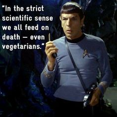 Spock Quotes, Fandom Star Trek, Star Trek Spock, Mr Spock, Grammar Humor, Star Trek Funny, Star Trek Original Series, Star Trek Images