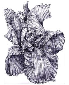 a black and white drawing of a flower