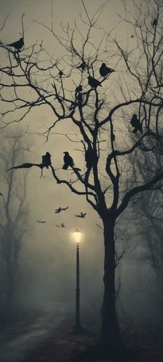 many birds are perched on the branches of a tree in front of a street light