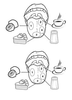 a diagram showing the parts of a mouth and how to use it for dental care