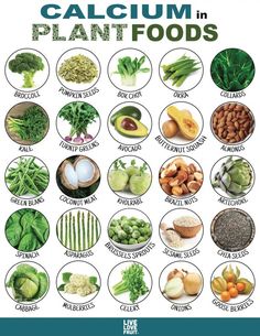 Calcium Rich Foods, Foods With Calcium, Vegan Nutrition, Makanan Diet, Healing Food, Diet Keto, Plant Food