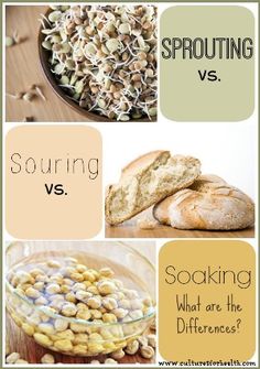 different types of sprouting and souring are shown in this collage, including bread