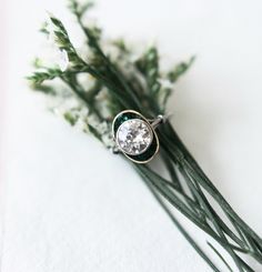 a close up of a flower with a ring on it