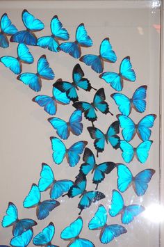 a group of blue butterflies flying in the air