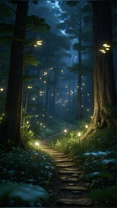 a path in the middle of a forest with lights on it