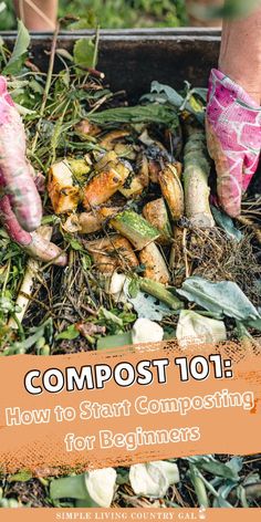 compost 101 how to start composting for beginners