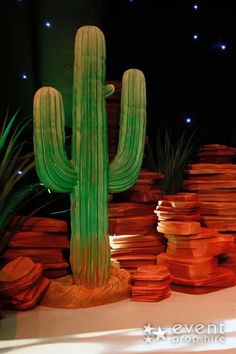 a green cactus sitting on top of a pile of rocks next to a tall plant