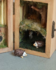 two hedgehogs in a wooden box with moss and mushrooms on the ground next to each other