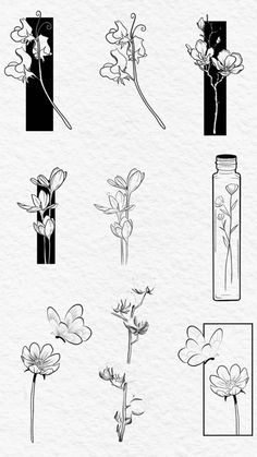 various flowers are drawn in black and white ink on paper, including one flower with long stems