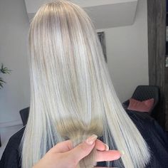 The Coolest Way to Get Gray Blonde Hair | Wella Professionals Toning Bleached Hair