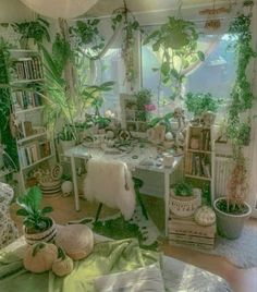 a living room filled with lots of plants and bookshelves next to a window