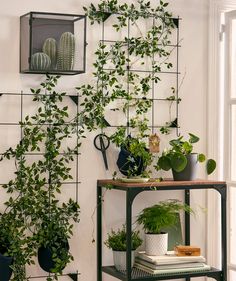 a shelf with plants on it next to a wall mounted planter and potted plants